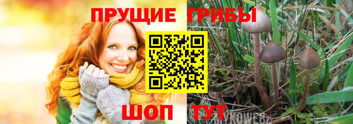 Псилоцибиновые грибы MAGIC MUSHROOMS  Вход с VPN  Сафоново 